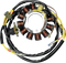 RICK'S MOTORSPORT ELECTRIC Stator 21-552