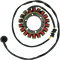 RICK'S MOTORSPORT ELECTRIC Stator - Kawasaki 21-709