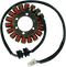 RICK'S MOTORSPORT ELECTRIC Stator - Honda 21-121