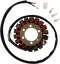 RICK'S MOTORSPORT ELECTRIC Stator - Honda 21-130