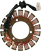 RICK'S MOTORSPORT ELECTRIC Stator - Kawasaki 21-218