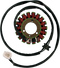 RICK'S MOTORSPORT ELECTRIC Stator - Suzuki 21-310