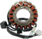 RICK'S MOTORSPORT ELECTRIC Stator - Suzuki 21-311H