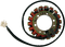 RICK'S MOTORSPORT ELECTRIC Stator - Honda 21-132