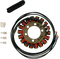 RICK'S MOTORSPORT ELECTRIC Stator - Suzuki 21-313