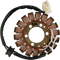RICK'S MOTORSPORT ELECTRIC Stator - Suzuki 21-314