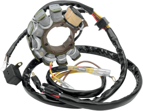 RICK'S MOTORSPORT ELECTRIC Stator 21-554