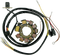 RICK'S MOTORSPORT ELECTRIC Stator 21-555