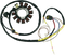 RICK'S MOTORSPORT ELECTRIC Stator 21-556