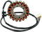 RICK'S MOTORSPORT ELECTRIC Stator - Honda 21-138