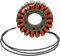 RICK'S MOTORSPORT ELECTRIC Stator - Suzuki 21-318H