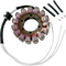RICK'S MOTORSPORT ELECTRIC Stator - Kawasaki 21-230
