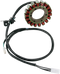 RICK'S MOTORSPORT ELECTRIC Stator - Suzuki 21-323
