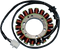RICK'S MOTORSPORT ELECTRIC Stator - Honda 21-143