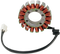 RICK'S MOTORSPORT ELECTRIC Stator - Kawasaki 21-227