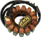 RICK'S MOTORSPORT ELECTRIC Stator - Kawasaki 21-234