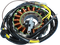 RICK'S MOTORSPORT ELECTRIC Stator - Polaris 21-560