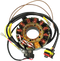 RICK'S MOTORSPORT ELECTRIC Stator - Polaris 21-561
