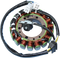 RICK'S MOTORSPORT ELECTRIC Stator - Suzuki 21-809