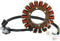 RICK'S MOTORSPORT ELECTRIC Stator - Suzuki 21-810