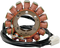 RICK'S MOTORSPORT ELECTRIC Stator - Ducati 21-017