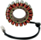 RICK'S MOTORSPORT ELECTRIC Stator - Ducati 21-019