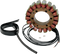 RICK'S MOTORSPORT ELECTRIC Stator - BMW 21-023