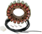 RICK'S MOTORSPORT ELECTRIC Stator - Suzuki 21-333