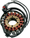 RICK'S MOTORSPORT ELECTRIC Stator 21-565