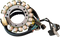 RICK'S MOTORSPORT ELECTRIC Stator - Yamaha 21-933