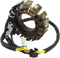 RICK'S MOTORSPORT ELECTRIC Stator - Suzuki 21-824
