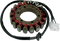 RICK'S MOTORSPORT ELECTRIC Stator - Kawasaki 21-205