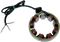 RICK'S MOTORSPORT ELECTRIC Stator - Kawasaki 21-208