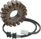 RICK'S MOTORSPORT ELECTRIC Stator - Kawasaki 21-209