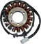 RICK'S MOTORSPORT ELECTRIC Stator - Kawasaki 21-210