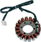 RICK'S MOTORSPORT ELECTRIC Stator - Kawasaki 21-214