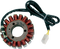 RICK'S MOTORSPORT ELECTRIC Stator - Suzuki 21-306