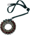 RICK'S MOTORSPORT ELECTRIC Stator - Yamaha 21-405