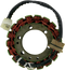 RICK'S MOTORSPORT ELECTRIC Stator - Honda 21-102