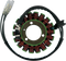 RICK'S MOTORSPORT ELECTRIC Stator - Kawasaki 21-201