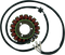 RICK'S MOTORSPORT ELECTRIC Stator - Suzuki 21-303