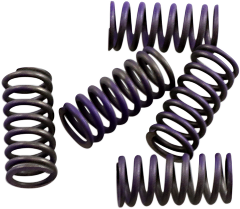 HINSON RACING Hi-Temp Clutch Spring Kit - Yamaha CS341-5-0311