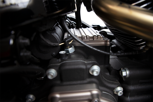 ARLEN NESS 10 Gauge Transmission Cover - Titanium - M8 03-865