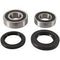 PIVOT WORKS Rear Wheel Bearing Kit - 52-0578