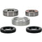 PIVOT WORKS Wheel Bearing Kit Premium - 22-51217P