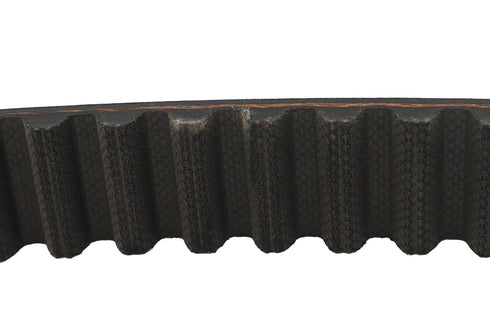 Belt Drive LTD. 1-1/8 inch Carlisle Panther Rear Belt 125 Tooth - 20-3999