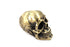 V-Twin Skull Shifter Knob - 21-0780