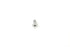 V-Twin Stainless Steel Shifter Allen Screws - 21-1987