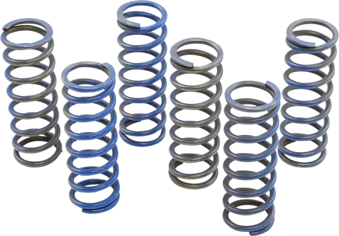 HINSON RACING Hi-Temp Clutch Spring Kit - Honda CS130-6-8602
