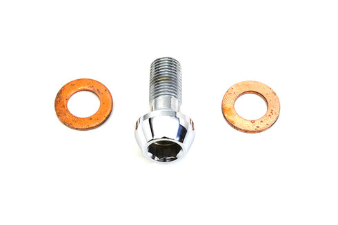 Colony Brake Hose Banjo Bolt Allen Type 10mm - 2191-3